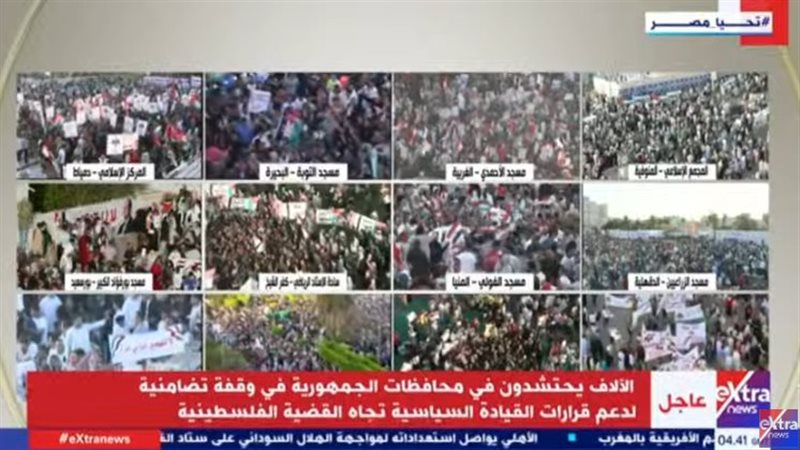 المصريين بالمحافظات