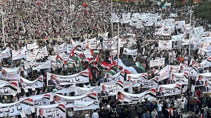 المصريين بالمحافظات