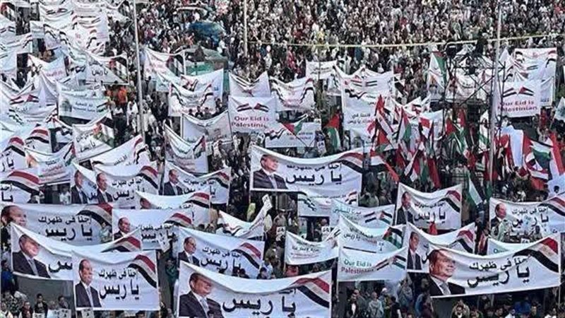 المصريين بالمحافظات