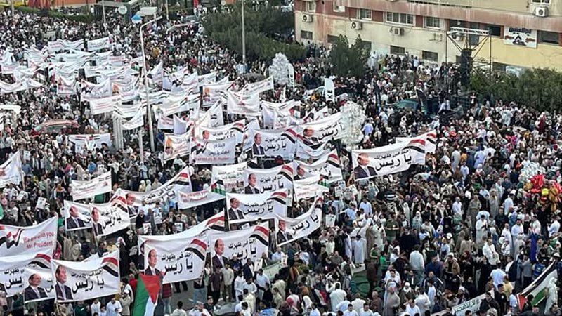 دعم المصريين للقضية