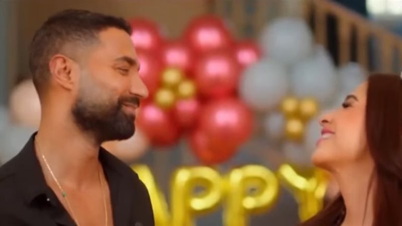مسلسل وتقابل حبيب