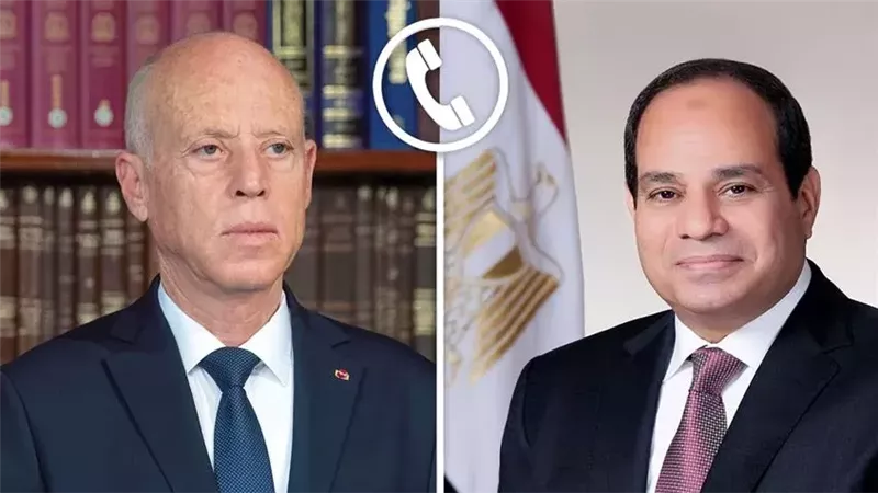 الرئيس السيسي والرئيس
