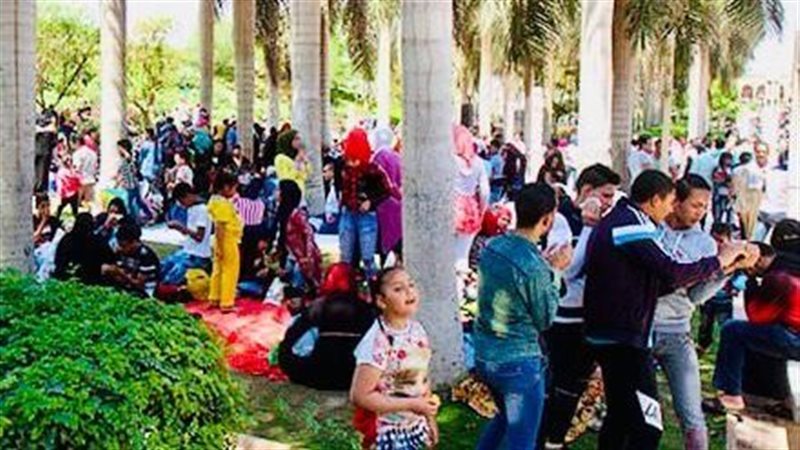 صورة أرشفية