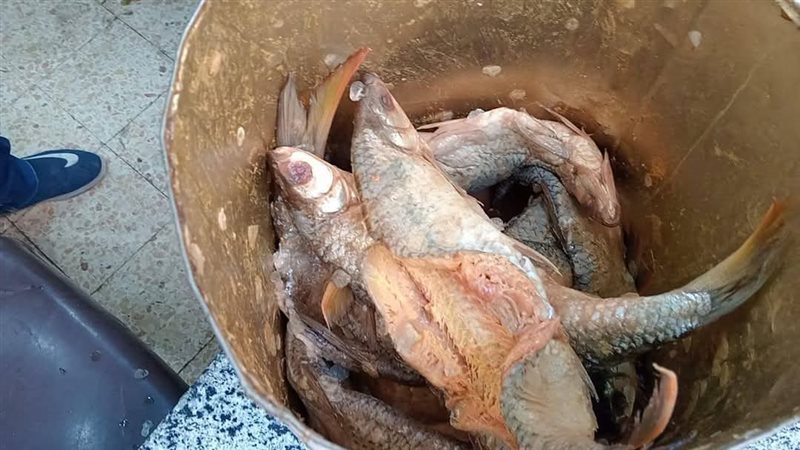 حملات تفتيشية بالمنيا