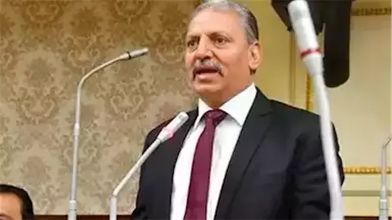 النائب إبراهيم المصري