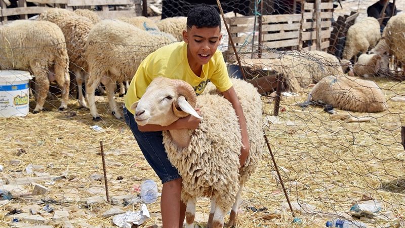 موعد إجازة عيد الأضحى