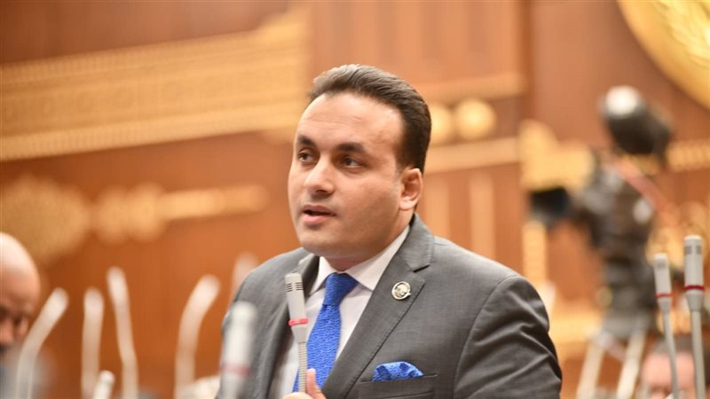 النائب عمرو فهمي
