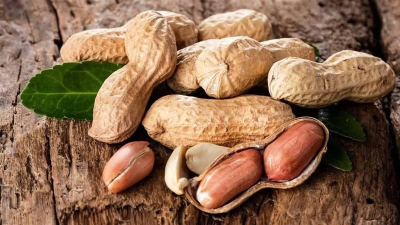 فوائد الفول السوداني