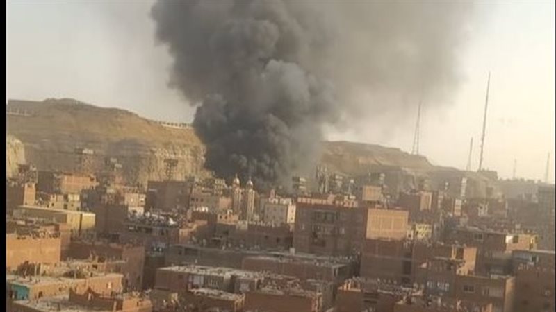 ارشيفية