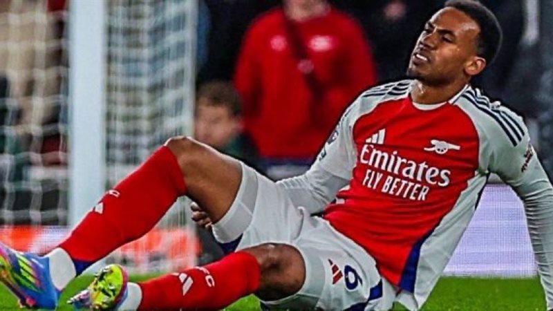 جابرييل ماجاليس لاعب