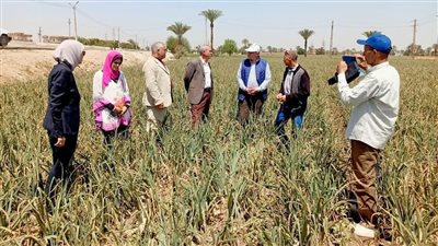 رئيس الإدارة المركزية لمكافحة الآفات بوزارة الزراعة يتفقد الحقول الزراعية بالفيوم
