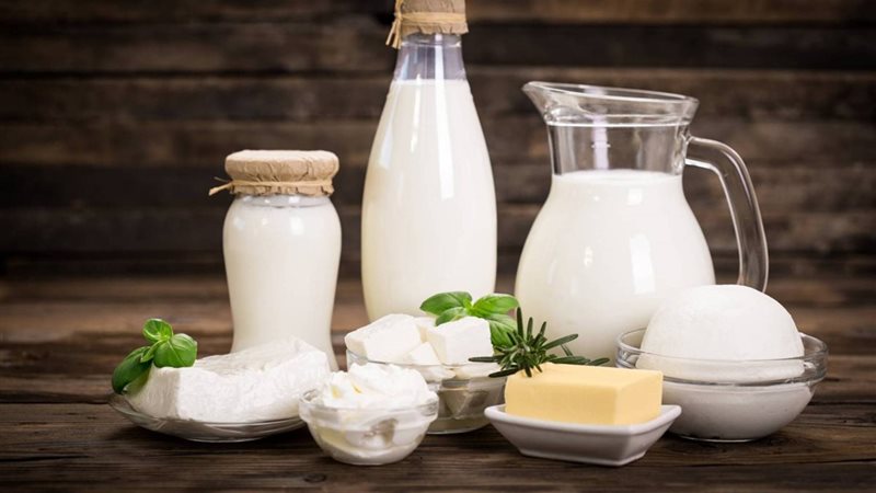 استيراد الألبان