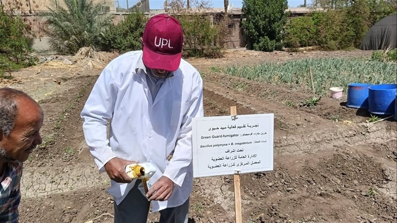 تجربة تقييم فعالية