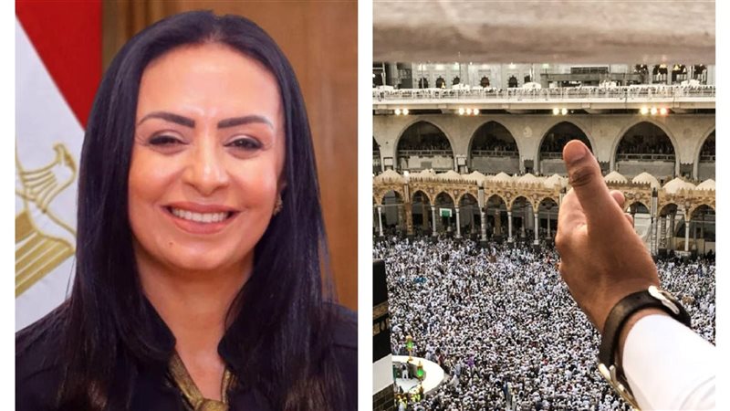 التضامن تكشف عن سعر