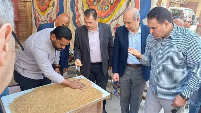 توريد القمح