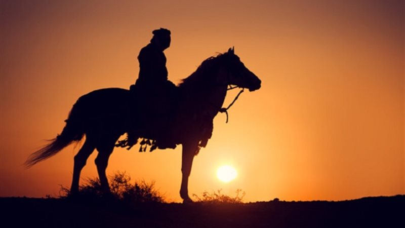 قصة زيد بن حارثة