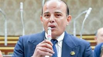 عمرو القطامي: وعي المصريين أنهى أحلام الإخوان الإرهابية في العودة للمشهد