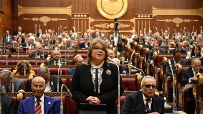 وكيلة مجلس الشيوخ: نتعامل بقانون للتجارة مر عليه أكثر من 150 عامًا
