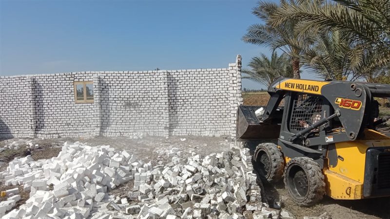 صورة من الحملة