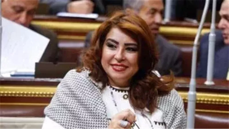 النائبة غادة عجمي