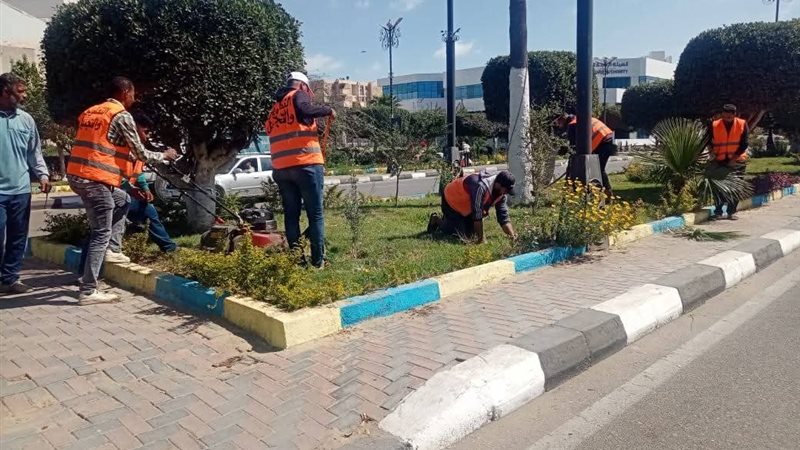 جهاز التجميل والتطوير