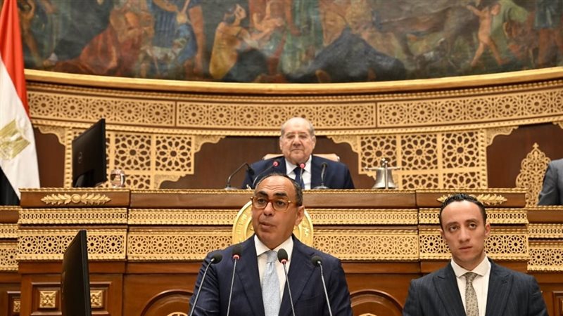 النائب هاني سري الدين