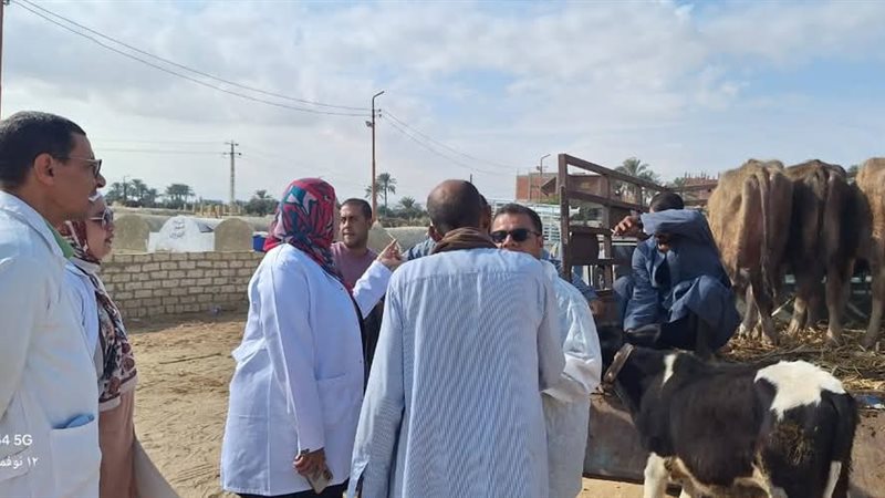 جانب من التحصين