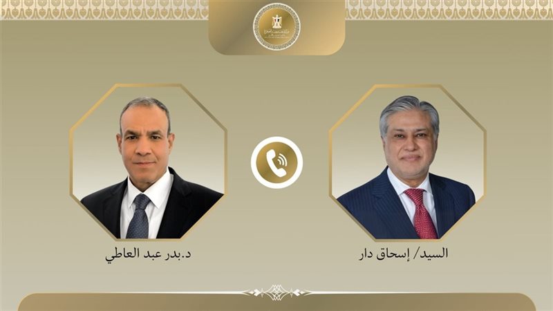 وزير خارجية مصر ونظيره