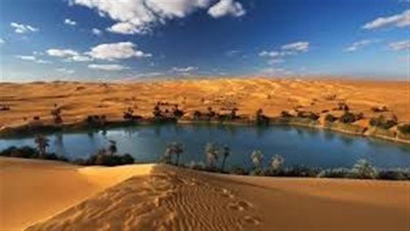 أرشيفية