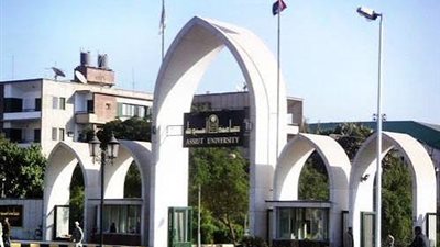 بيان رسمي: إجراءات قانونية ضد أستاذ بجامعة أسيوط بعد مخالفات متكررة