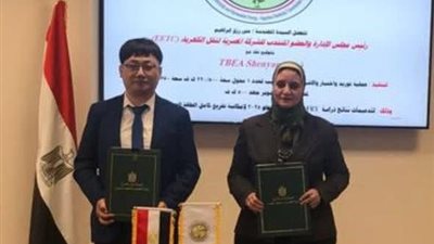 الكهرباء: توقّع عقد توريد محول لمحطة أكتوبر لدعم استقرار الشبكة القومية