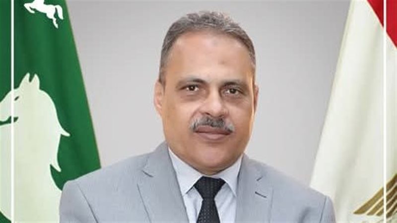 محافظ الشرقية