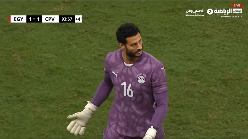 الشناوي