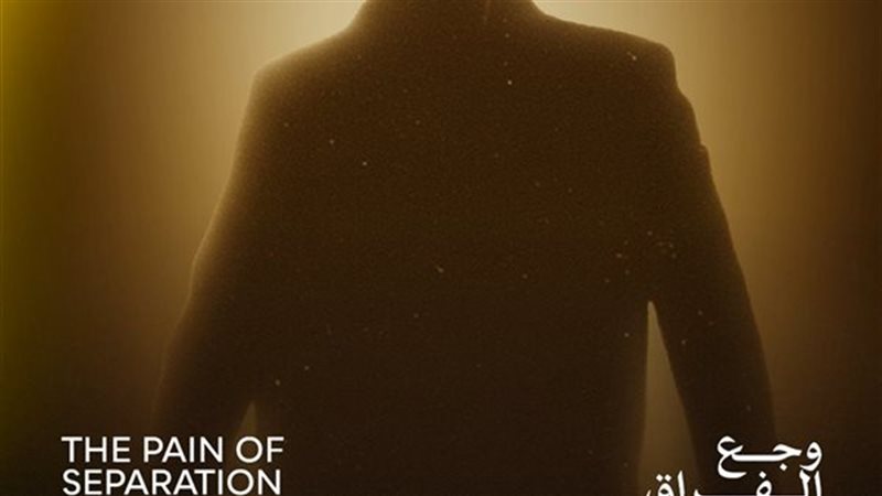 البوستر 