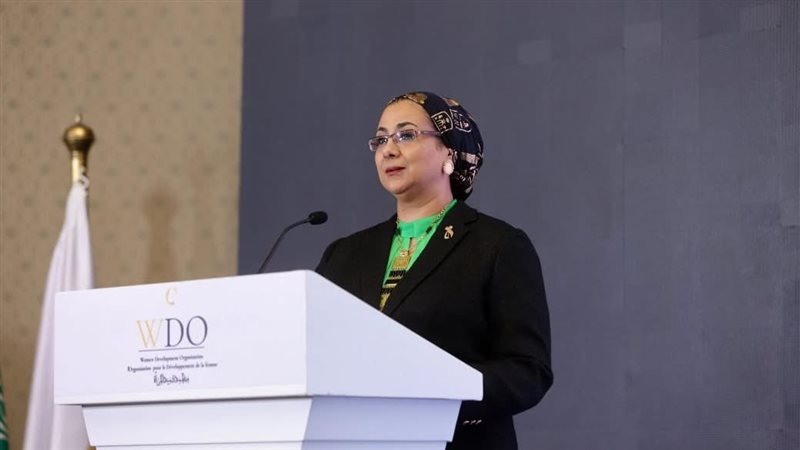 أمل عمار 