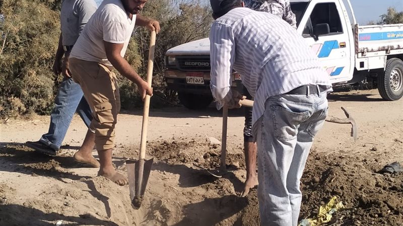 جانب من الاعمال