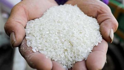 فائض يصل لـ 750 ألف طن من الأرز الأبيض.. هل تستقر الأسعار في مصر؟ 