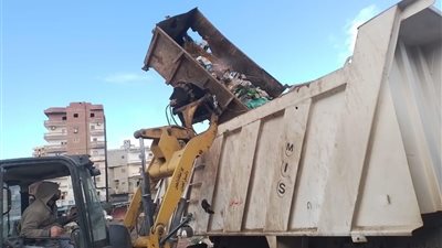 رفع 225 طن مخلفات في كفر الزيات خلال 24 ساعة.. خطة موسعة لتجميل الشوارع  