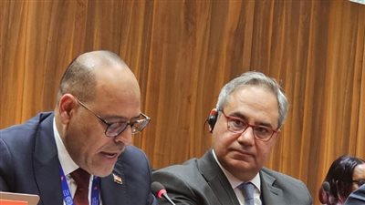 وزير العمل في مداخلة أمام مجلس إدارة منظمة العمل الدولية بجنيف