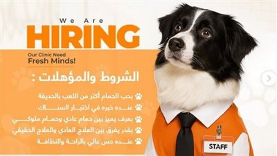 بمواصفات خاصة.. عيادة إمارتية تُعلن عن حاجتها لتوظيف كلب