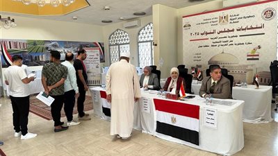 سلاسة في التصويت بالخارج.. سفراء مصر يؤكدون انتظام المرحلة الثانية للانتخابات 