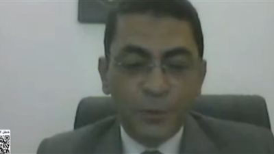 سفير مصر في تشاد: مشاركة هادئة وتصويت من 5 دوائر بانتخابات مجلس النواب