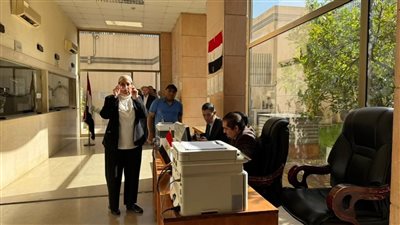 إقبال غير مسبوق.. مشاركة واسعة للجالية المصرية في الرياض وجدة بالانتخابات