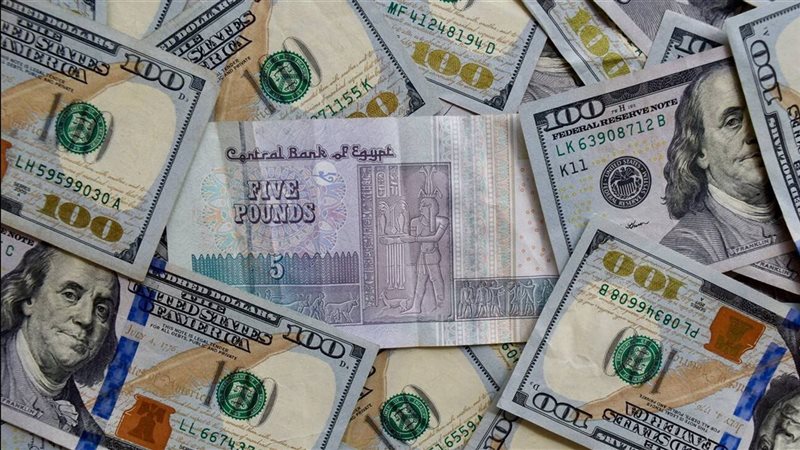 سعر الدولار