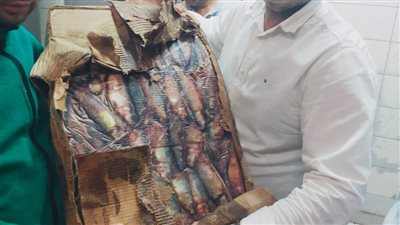 القليوبية تضبط 130 طن لحوم ودواجن وأسماك غير صالحة للاستهلاك خلال نوفمبر
