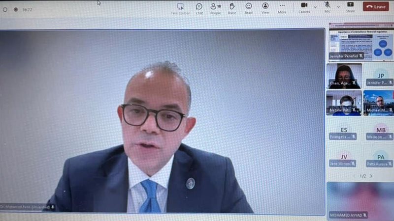 محمد فريد 