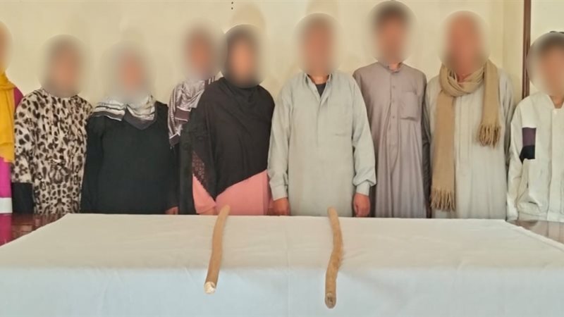 المتهمين 