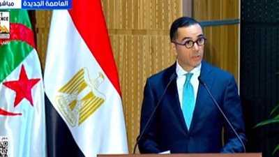وزير الاستثمار: نسعى إلى تعزيز التعاون التجاري بين مصر والجزائر 