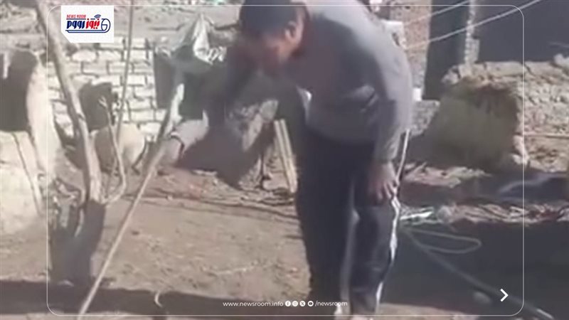 الحاوى