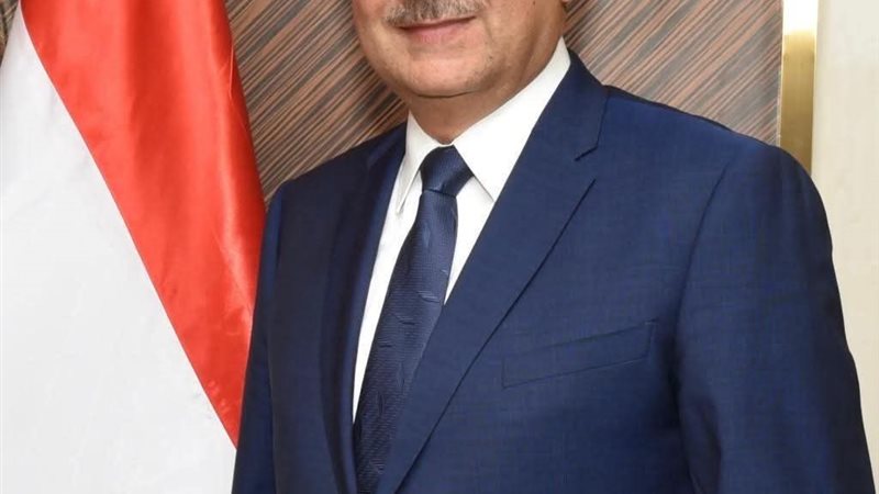 المهندس محمد الشيمي